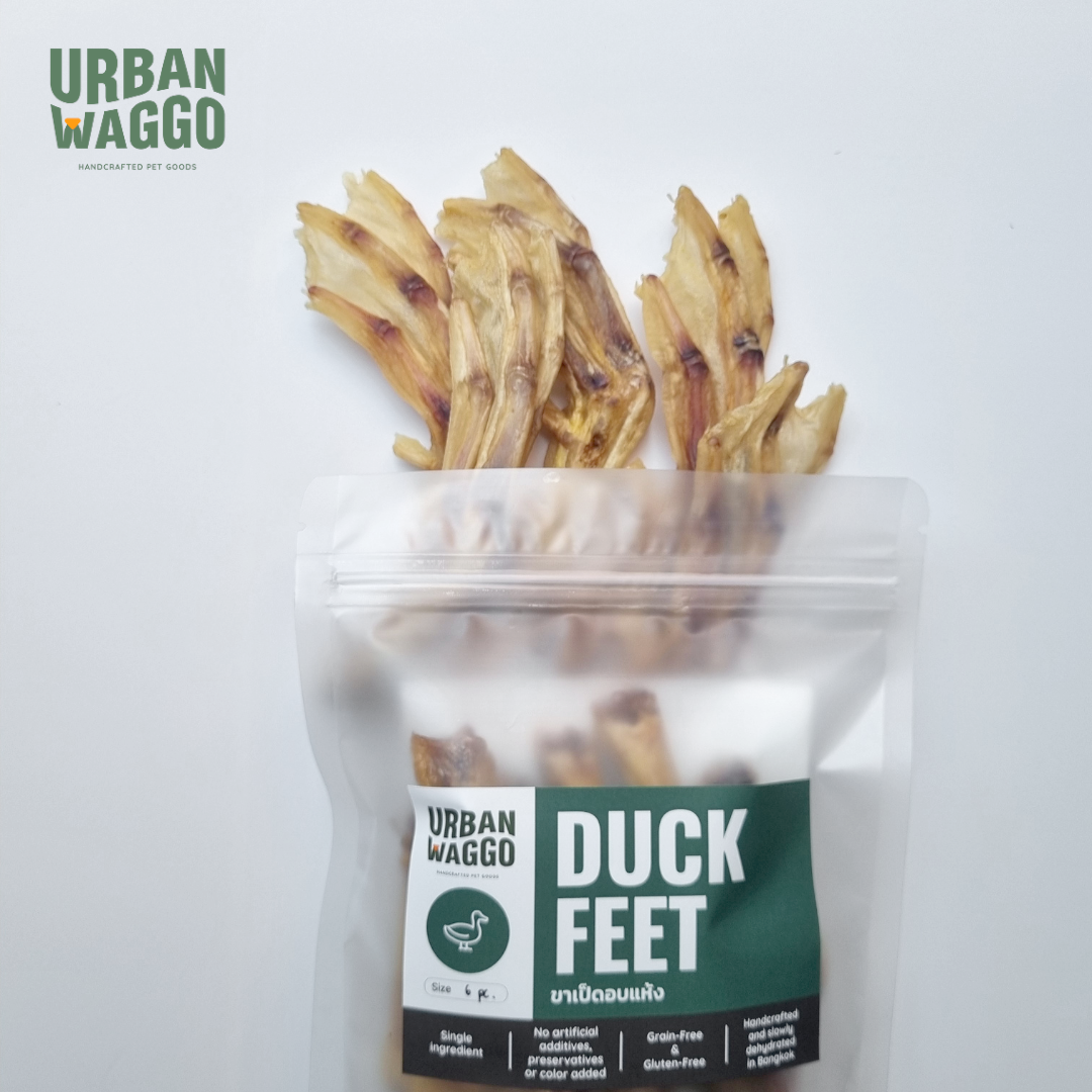 Duck Feets