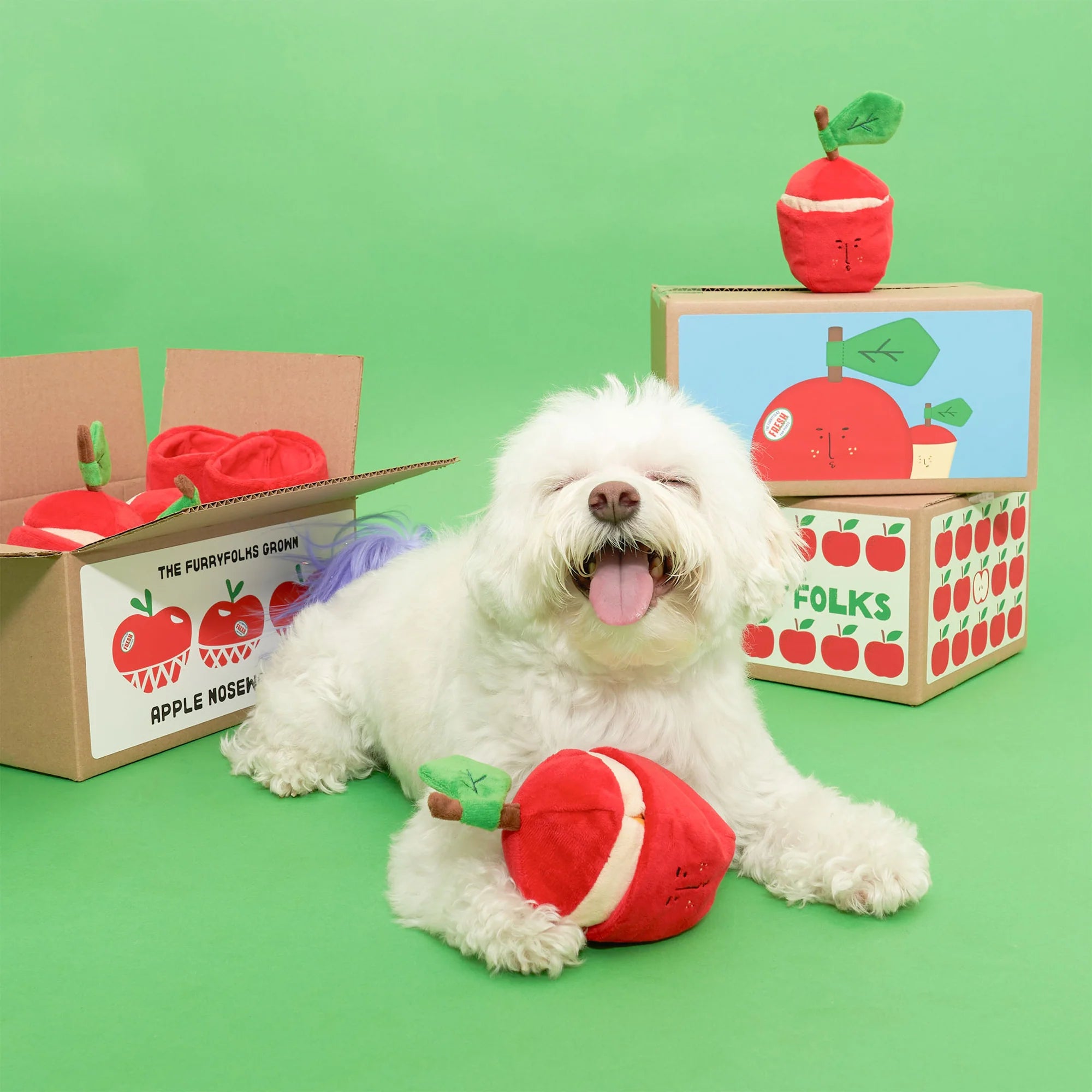 Apple Nosework Toy