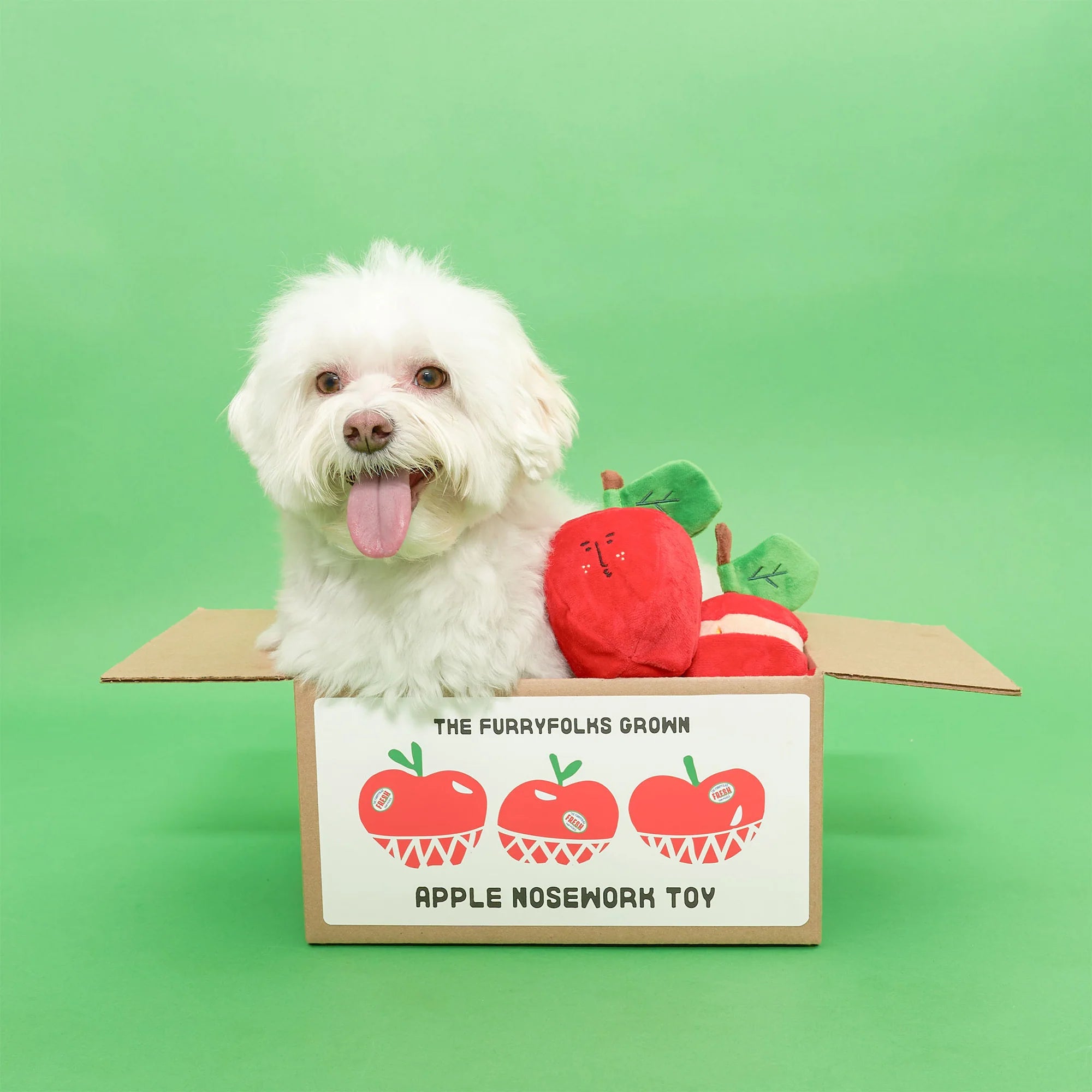 Apple Nosework Toy