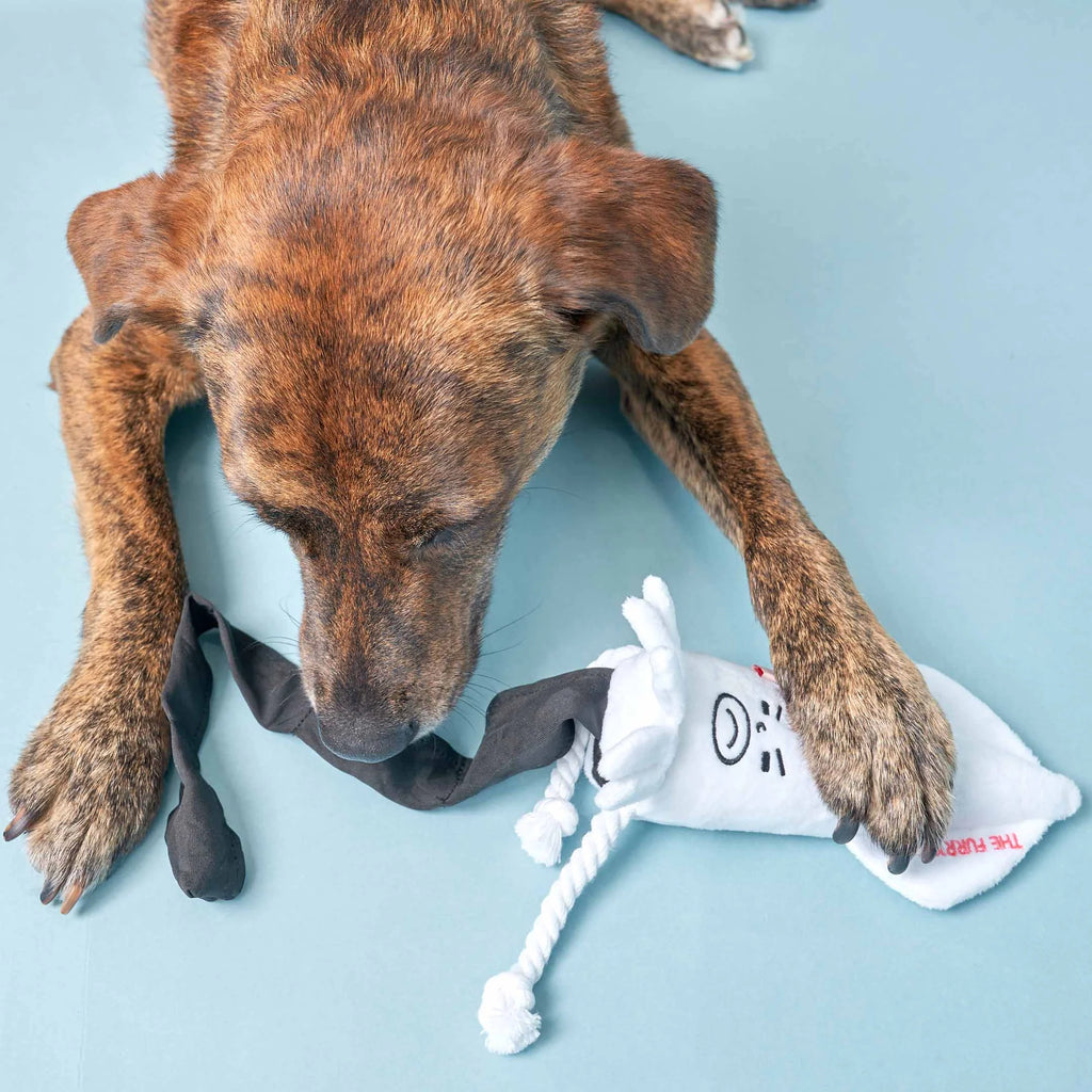 Calamari Nosework