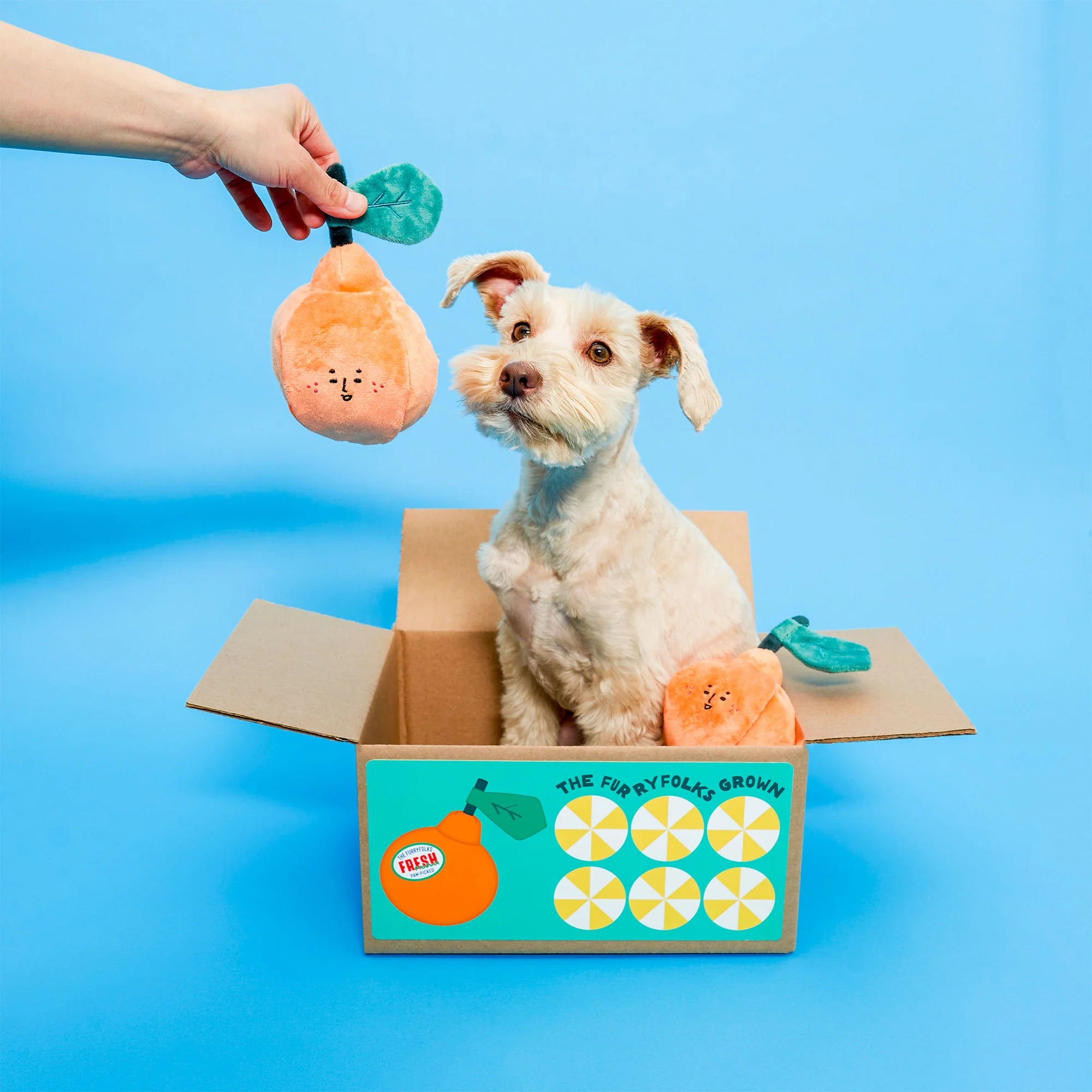 Orange Nosework Toy