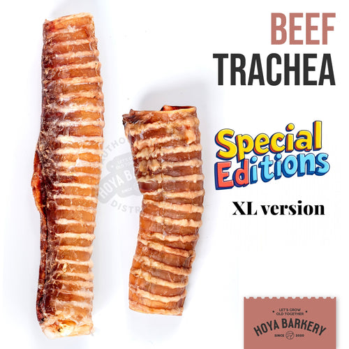 Beef Trachea