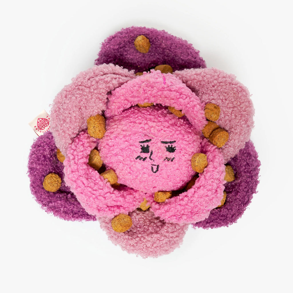 Red Cabbage Nosework Toy
