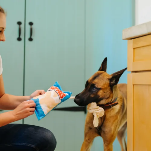 PLAY Snack Attack Fluffles Chips