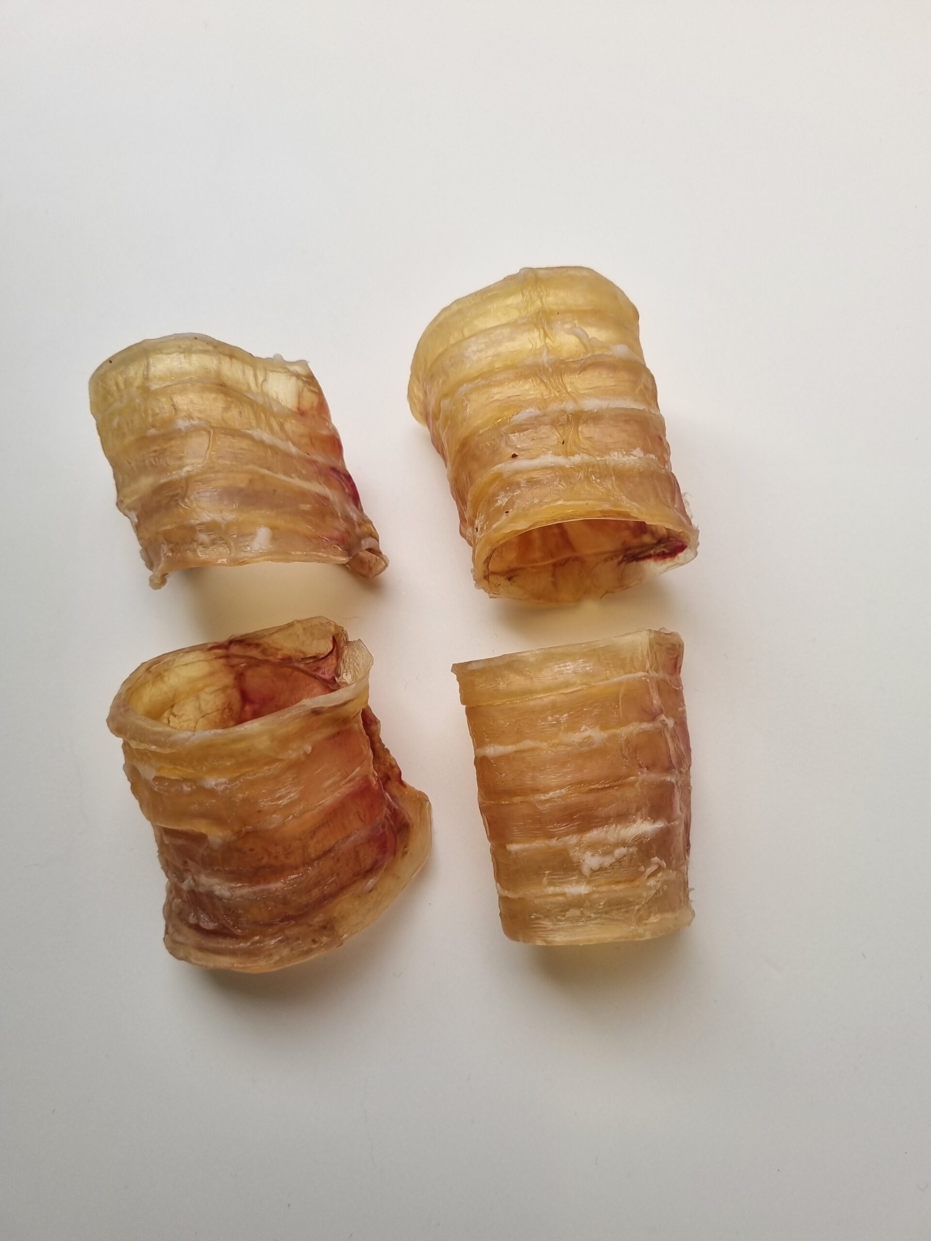 20250916_071100 20250916_071100