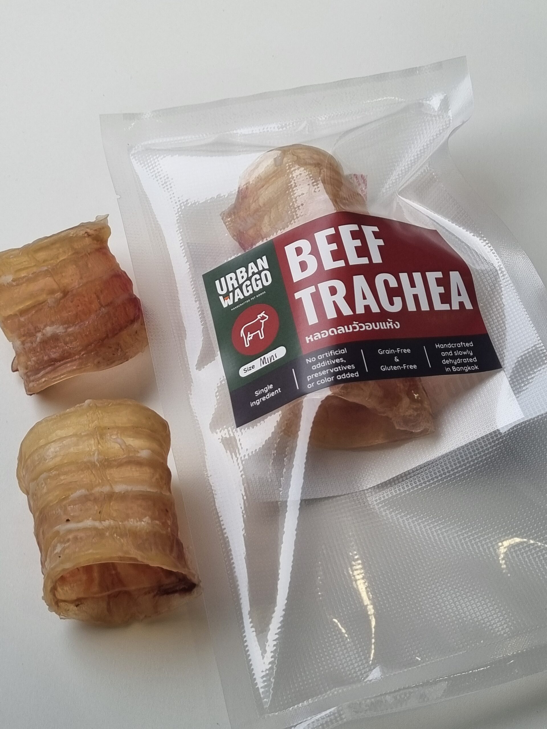 20250916_071751 20250916_071751